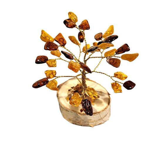 Dzintara koks 673413