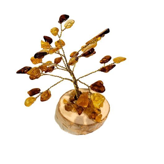 Денежно-янтарное дерево 672809