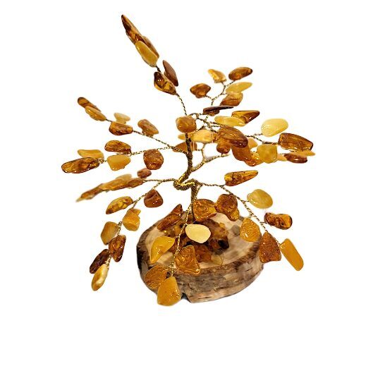 Денежно-янтарное дерево 673708