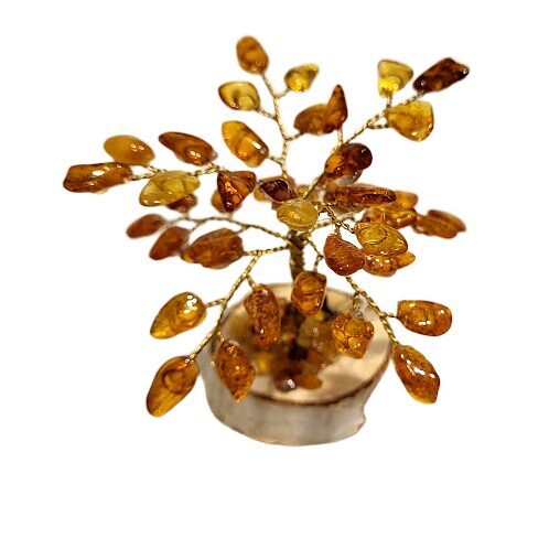 Денежно-янтарное дерево 673408