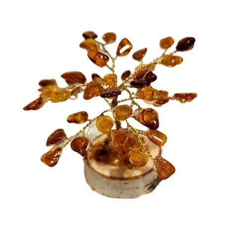 Денежно-янтарное дерево 673409