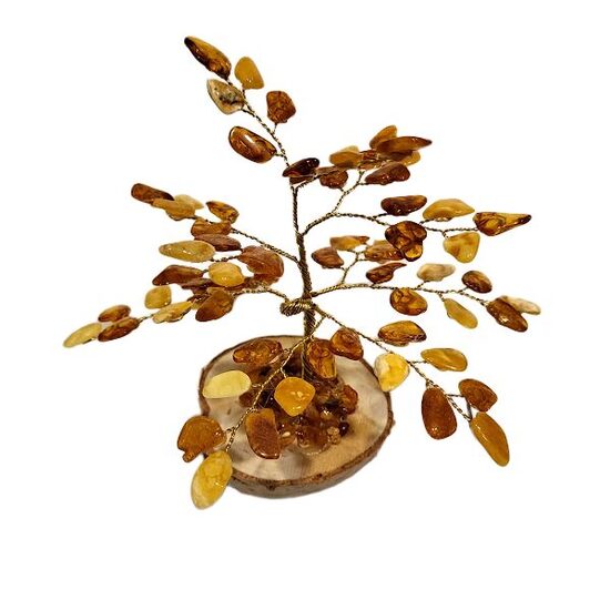 Денежно-янтарное дерево 673709