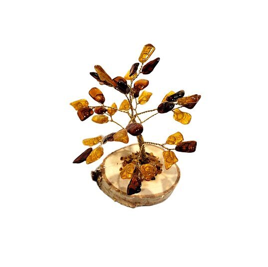 Dzintara koks 673414