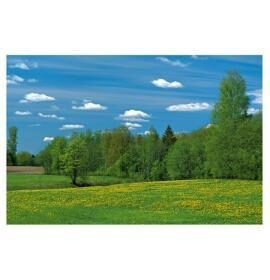 Atklātne / Postcard / Открытка "Latvija" Nr. D16546