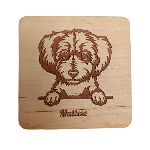 Koka paliktnis no kolekcijas Suņi