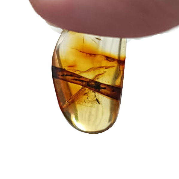 Amber pendant from the Exclusive EV33-01 collection