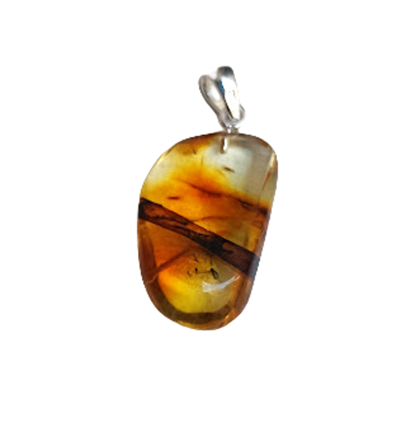 Exclusive Amber Pendant "Nature's Capsule" (40x20 mm)