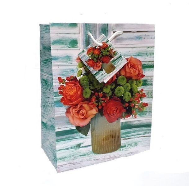 Dāvanu maisiņš  22x9,5x18 cm