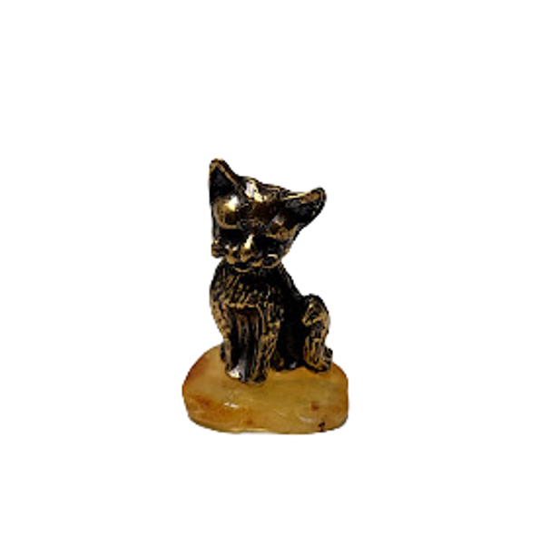 Cat on amber