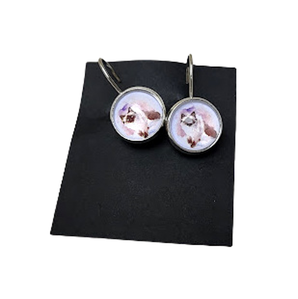  Auskari no kolekcijas "Kaķi"