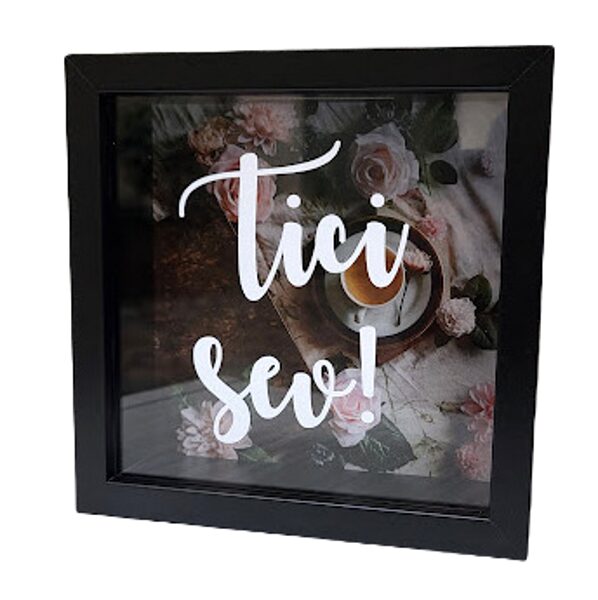 Wooden savings bank 18501117