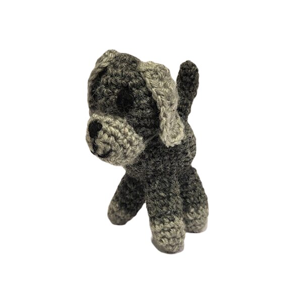 Tamborēts Sunītis 220102