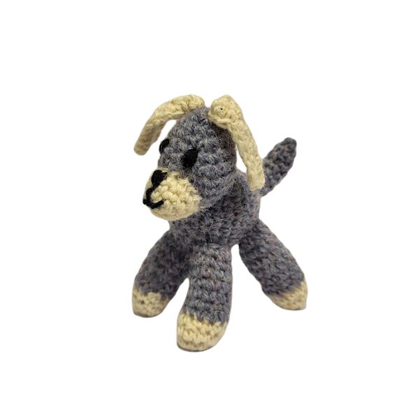 Tamborēts Sunītis 220109