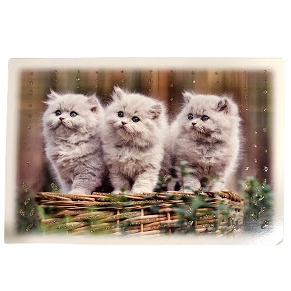 Postcard Cats A25171