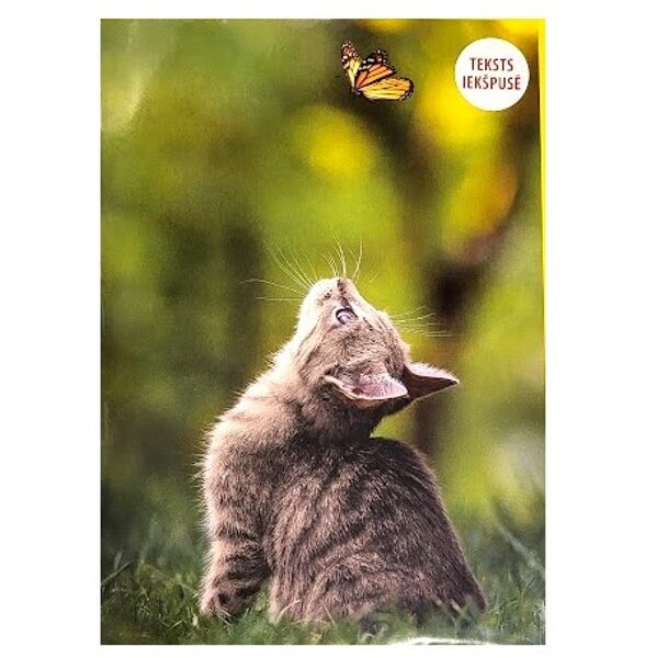 Apsveikumu kartiņa 25045