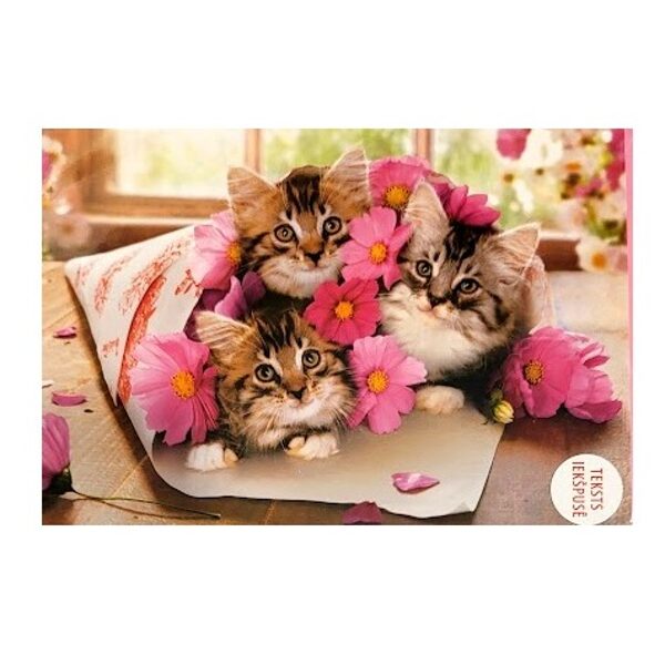 Apsveikumu kartiņa 24121