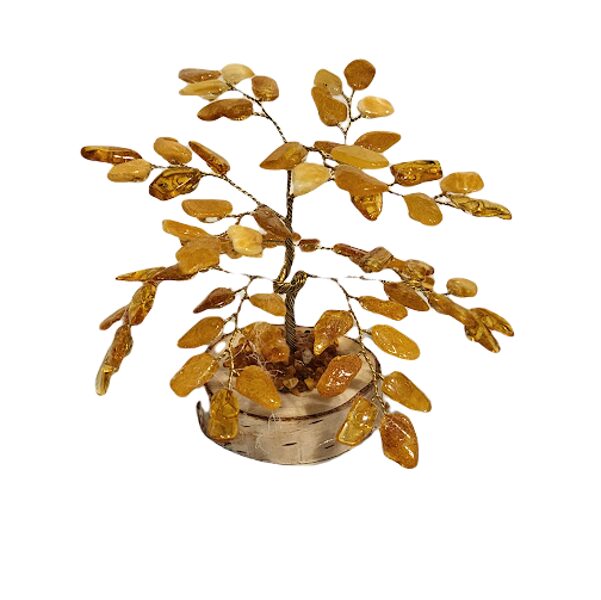 Денежно-янтарное дерево 673701