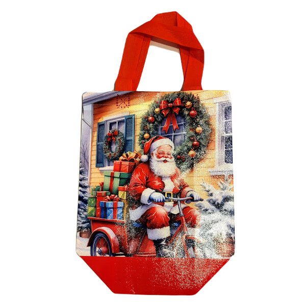 Dāvanu maisiņš 0516601