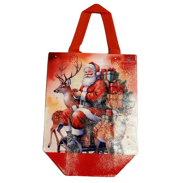 Dāvanu maisiņš 0516602