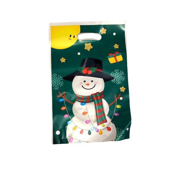 Plastikas dāvanu maisiņš 16x25 cm 051403