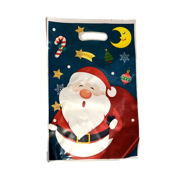 Plastikas dāvanu maisiņš 16x25 cm 051406