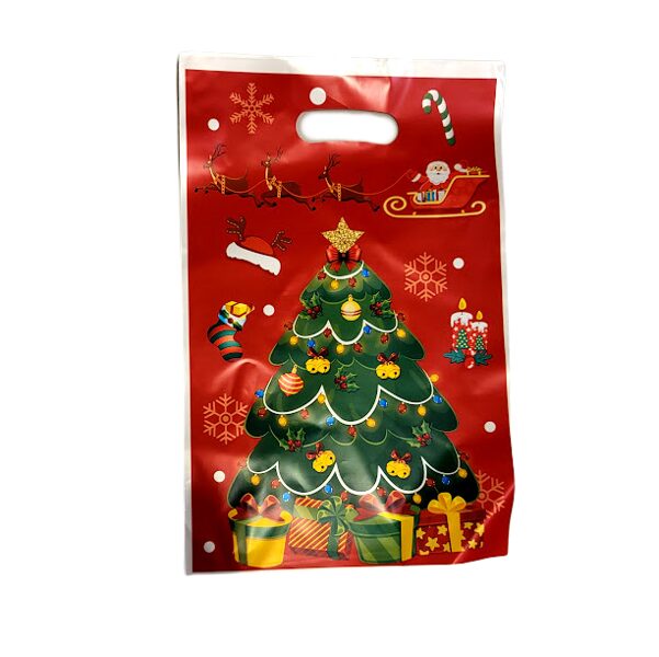 Plastikas dāvanu maisiņš 16x25 cm 051404