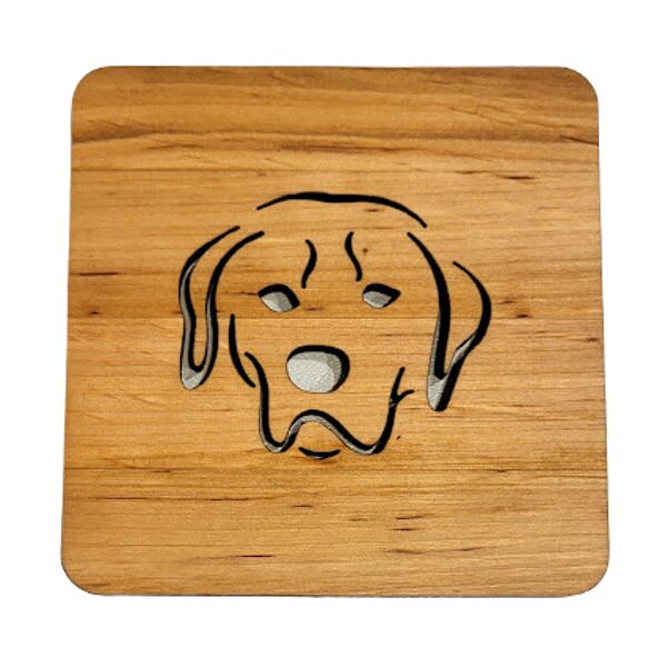 Koka paliktnis "Suns"