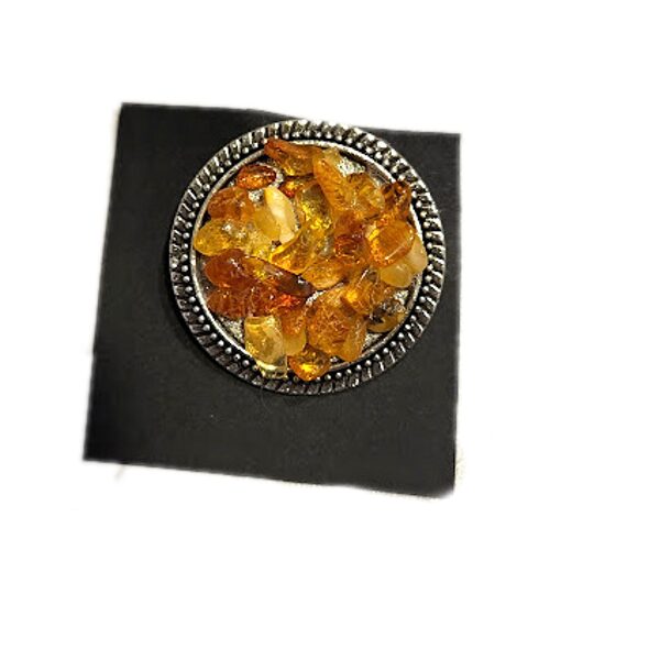 Piespraude ar dzintaru 010302