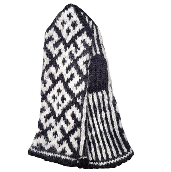 Adīti dūraiņi tautiskā rakstā 171016