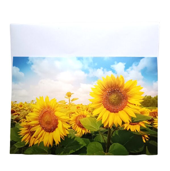 Greeting card with envelope A23283