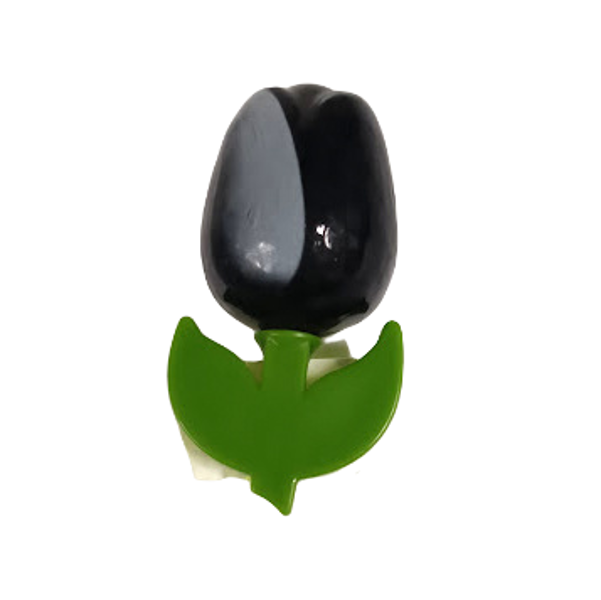 Koka tulpe magnēts