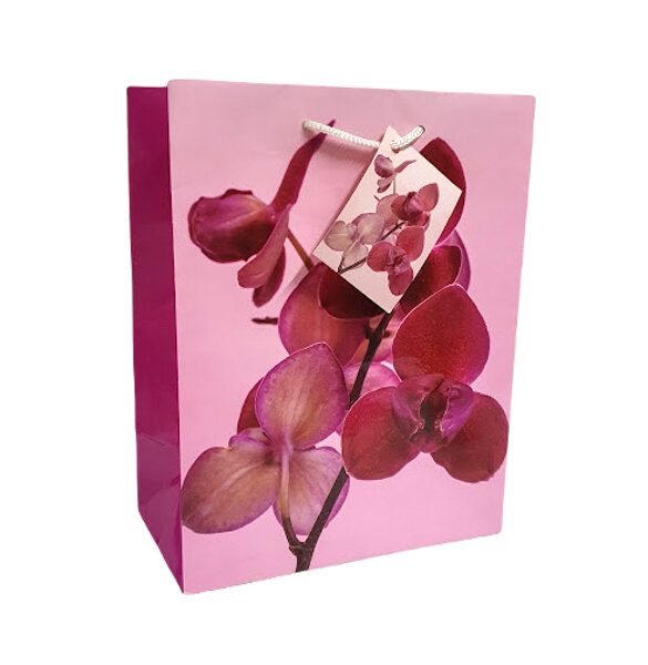 Dāvanu maisiņš  22x9,5x18 cm