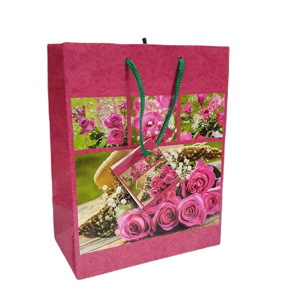 Dāvanu maisiņš  22x9,5x18 cm