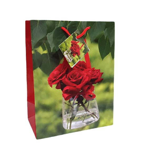 Dāvanu maisiņš  22x9,5x18 cm