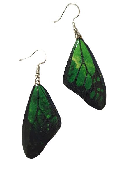 Earrings "Wings" Nr.16