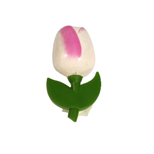 Koka tulpe magnēts