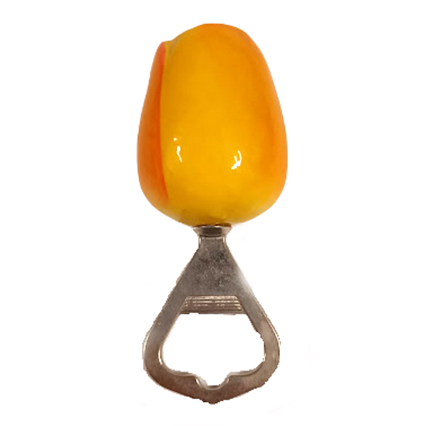 Koka tulpe pudeļu attaisāmais/magnēts