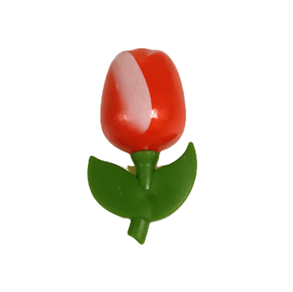 Koka tulpe magnēts