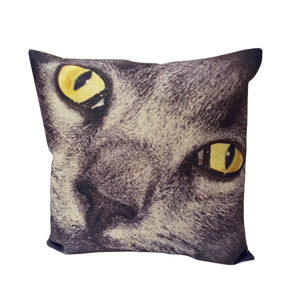 Pillowcase Cat