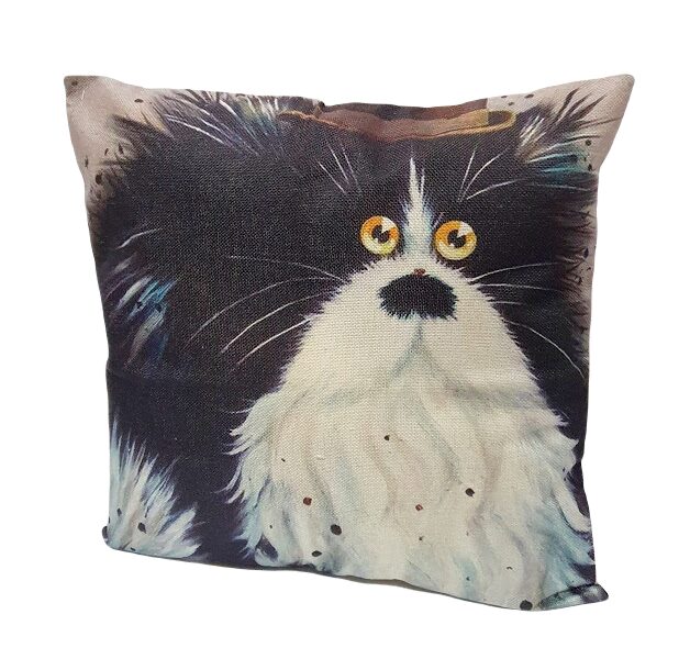 Pillowcase Cat