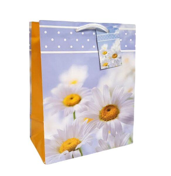 Dāvanu maisiņš  22x9,5x18 cm