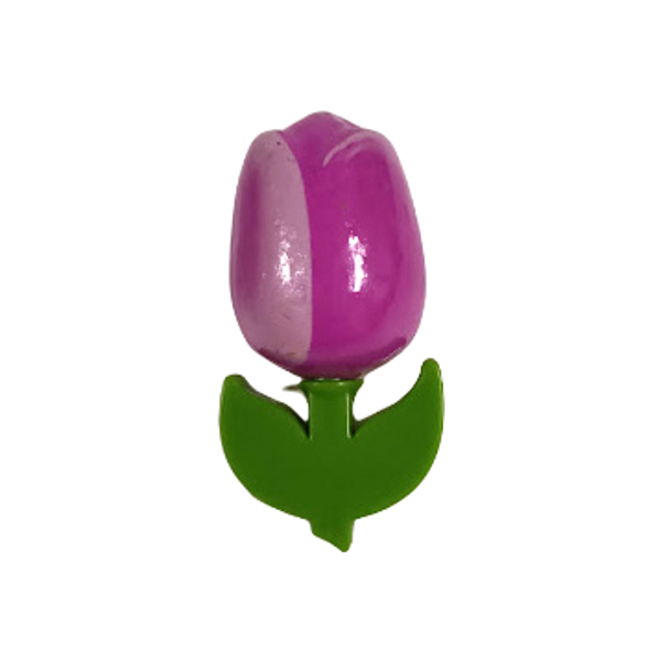 Koka tulpe magnēts